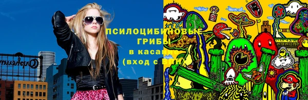 молекула духа Осинники