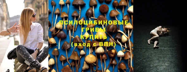 молекула духа Осинники