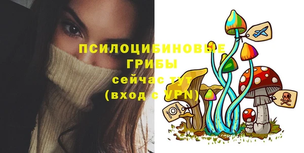 молекула духа Осинники
